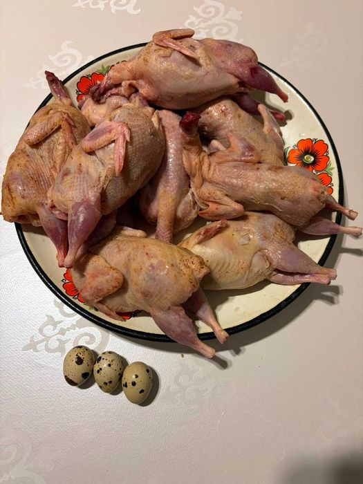 Продам мясо перепелов