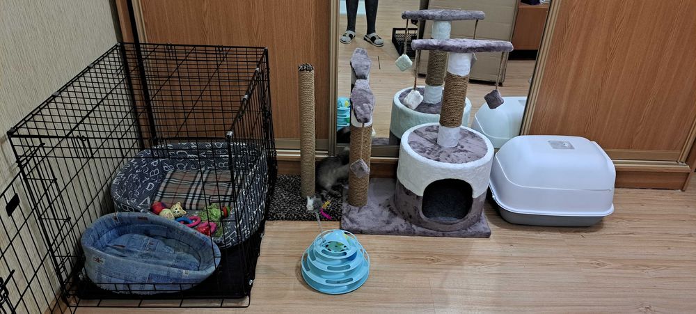 Вольер, когтеточка, поводок, лоток, намордник кошкин дом, домик-туалет