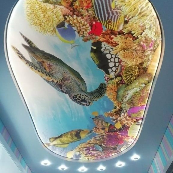 Натяжной потолок