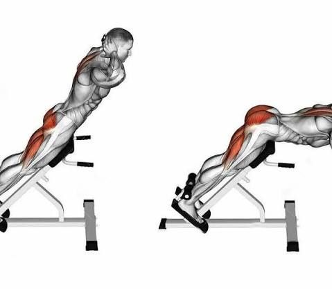 Скамья Гиперэкстензия