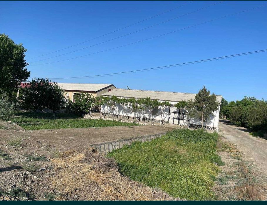 Uchastka tez va arzon sotiladi