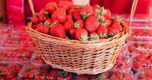 Уникален ЦЕЛОГОДИШЕН Разсад Корени - Ягоди и Малини