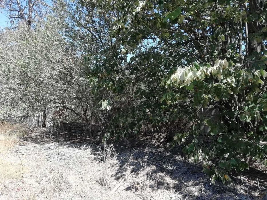 Парцел 2237 кв.м в с. Крапец | 950 м от морето | от собственик