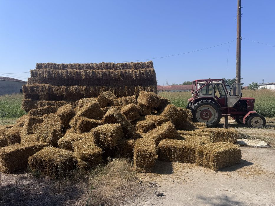 Продавам малки бали