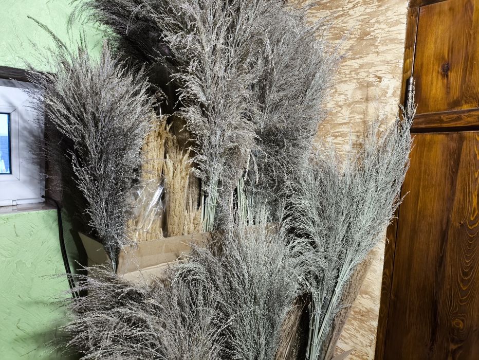 Разные сухоцветы в наличии