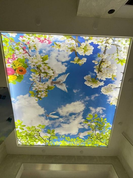 Натяжной потолок