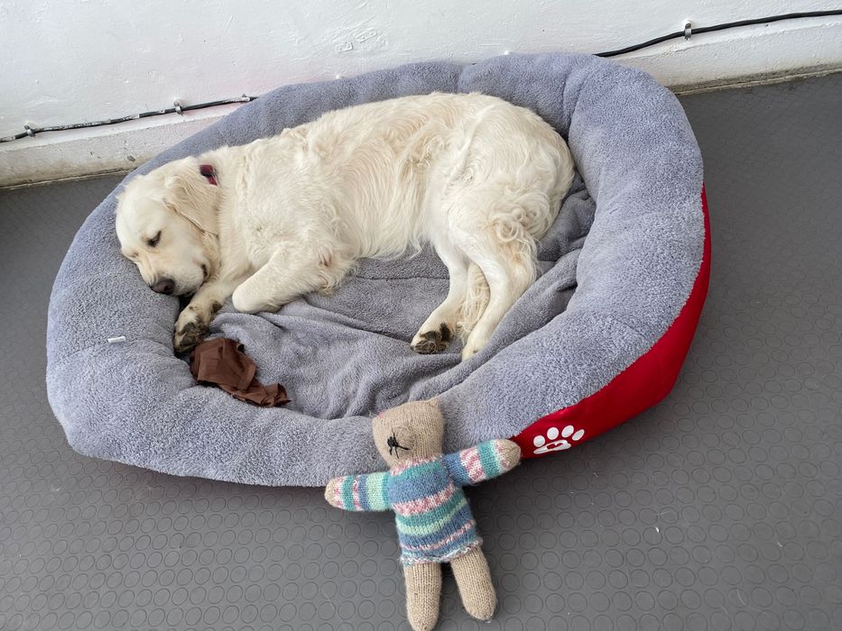 Легло за голямо куче с лапичка ХХЛ червен