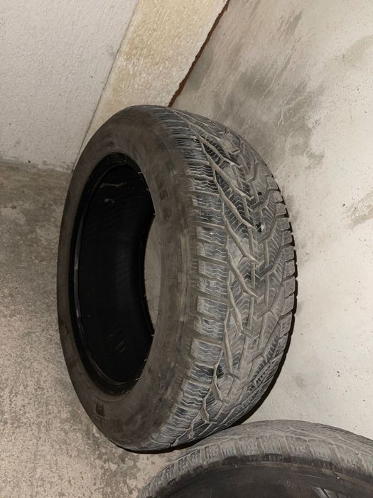 Riken зимни 205 55 16