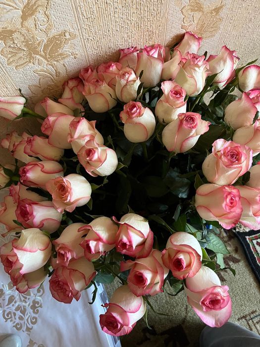 Голансские  розы