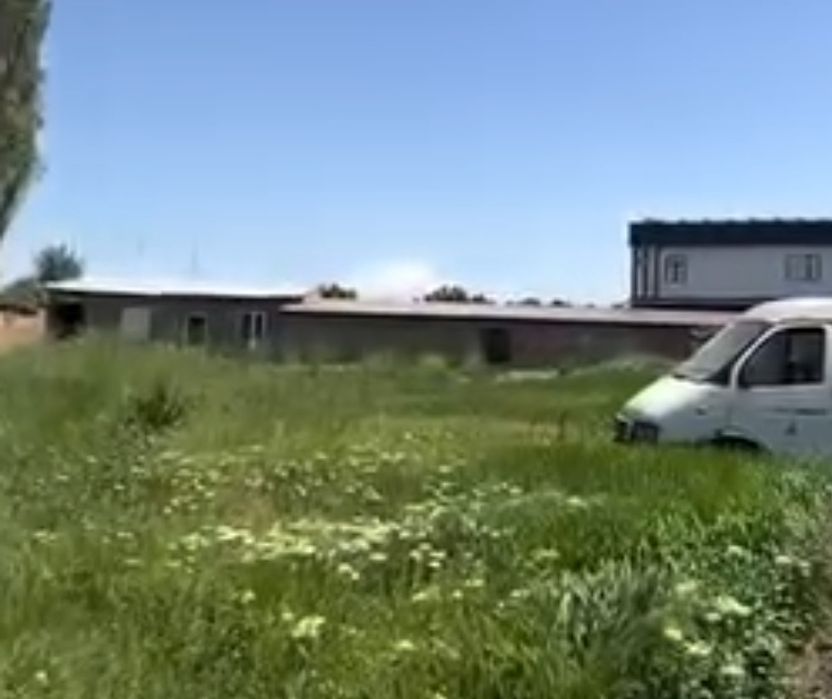 Tash Gress 15 sotig' yer