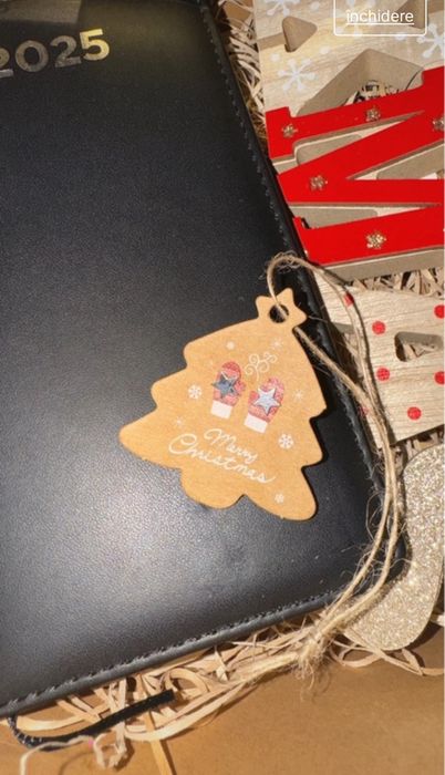 Cercei din argint 925