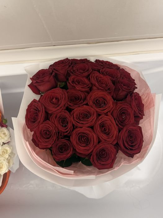 Цветы розы красные