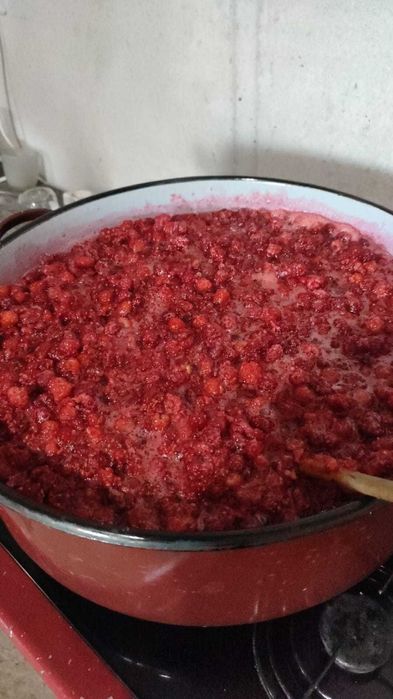 Dulceata/Gem 100% fruct