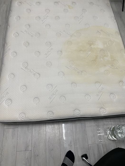 Saltea Kustuyu Premium Gratis!!!