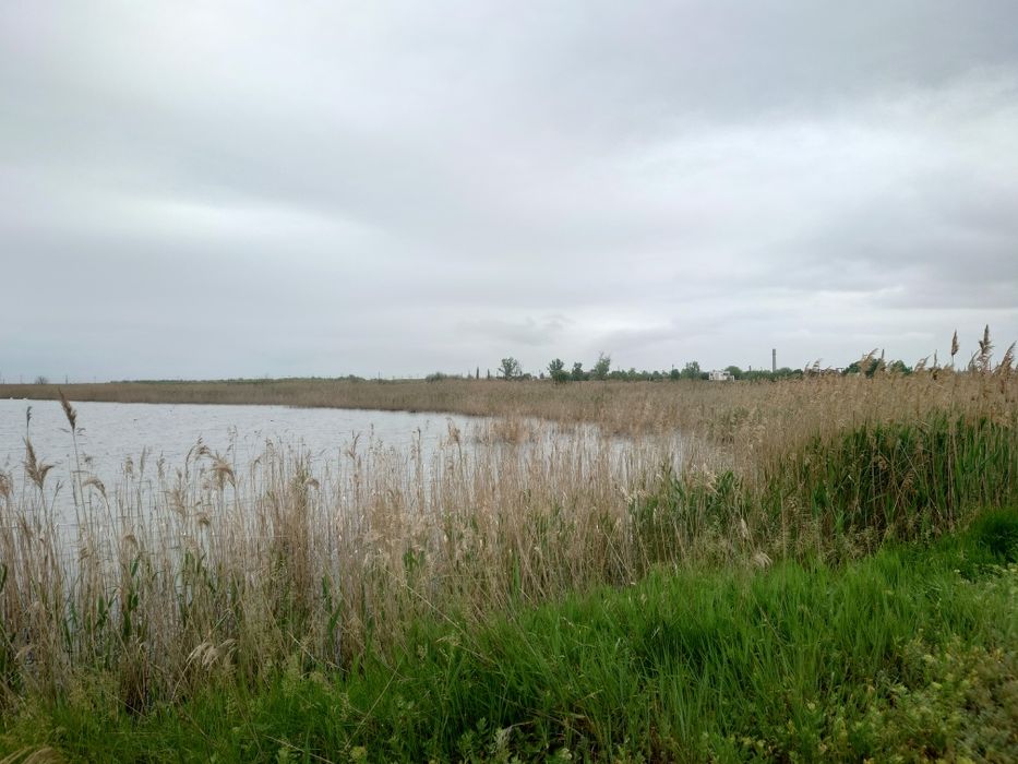 Vând baltă agrement