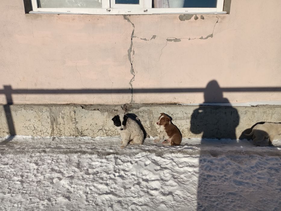 СРОЧНО!!! Срочно!