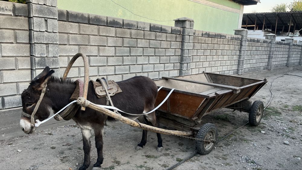 продается в комплекте