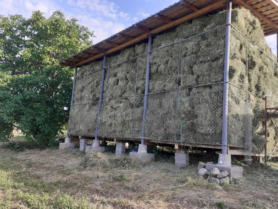 Baloti lucerna si baloti fan