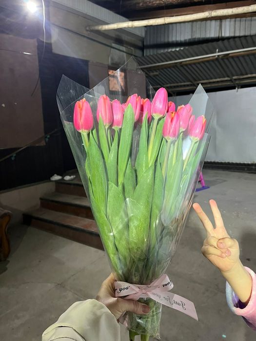 Тюльпаны голландские. СКИДКА!