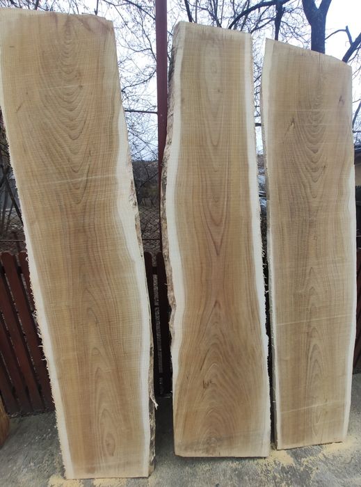 Cherestea de dud uscata