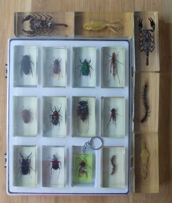 jucarii insecte in rasina DE AGOSTINI