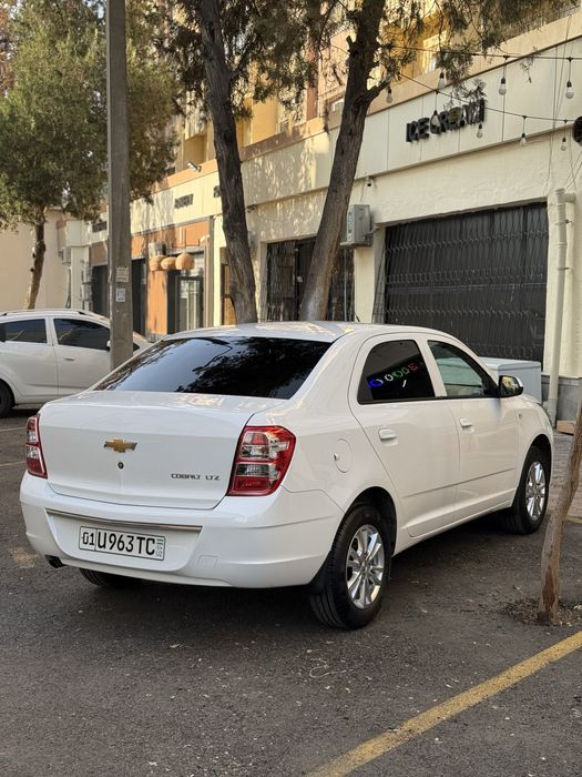 Cobalt Nasiya Savdoga beriladi