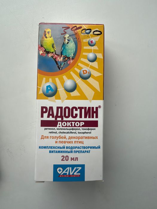 Продам попугая Корелла