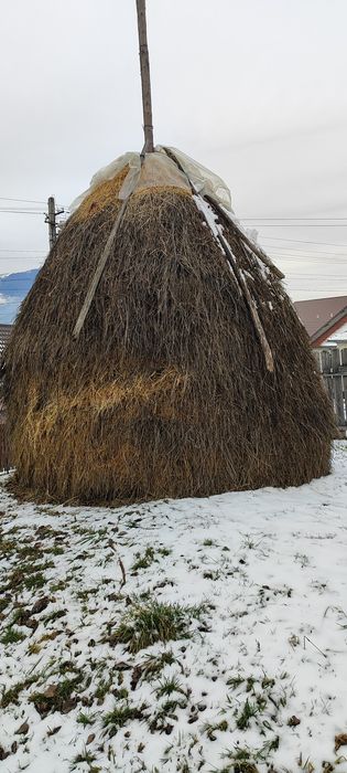 De vînzare fîn și otavă .