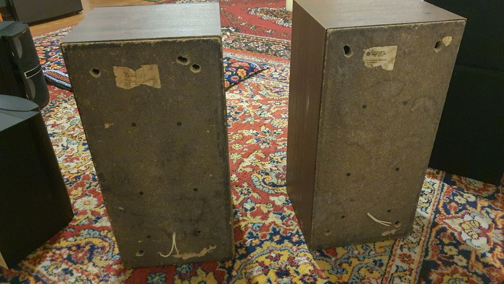 Вега 106-калонка 100вт