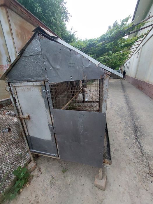 Tovuq katak sotiladi 10-15 ta tovuq uchun