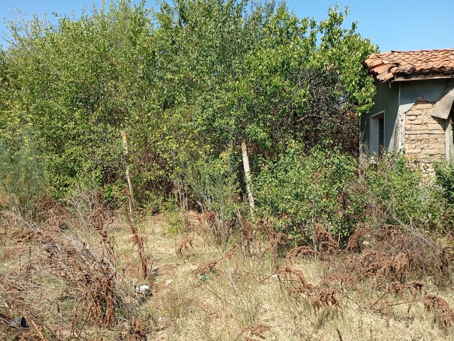 Продава се Къща в Пловдив, Каменица 1 - 61 кв.м за 328 €/кв.м - Снимка #4