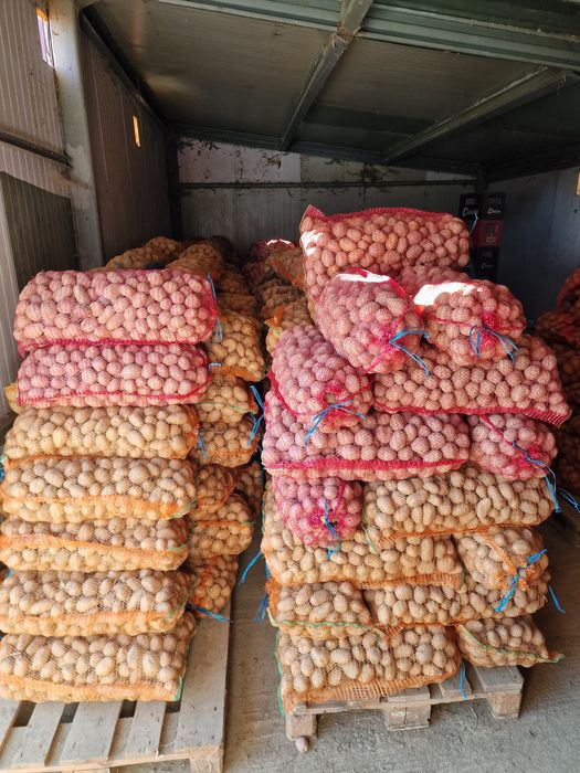 Cand cartofi de samanta