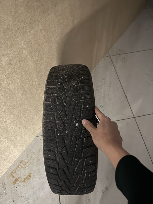 Зимный шина с шипи