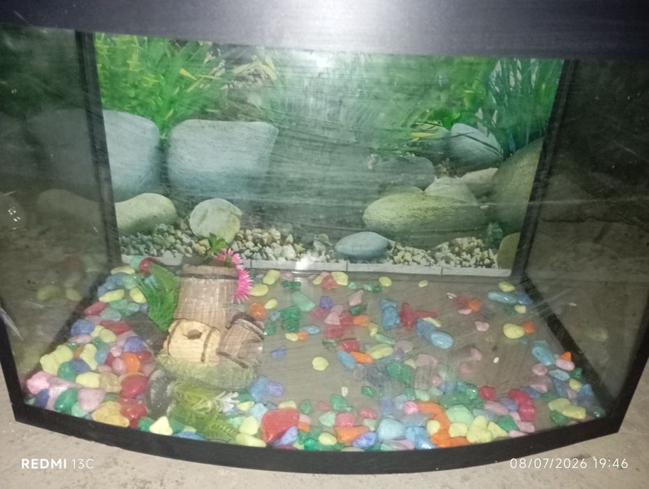Akvarium 20 ili 30 l bolsh kere