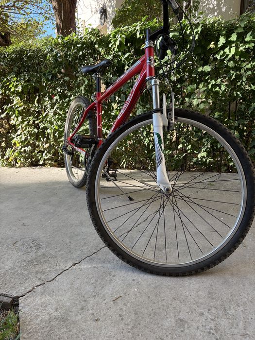 Bicicleta Mountain Bike Alpina