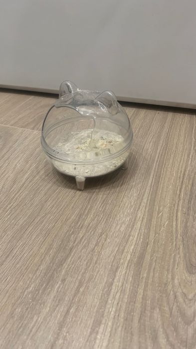 Продам хомяка (джунгарский)