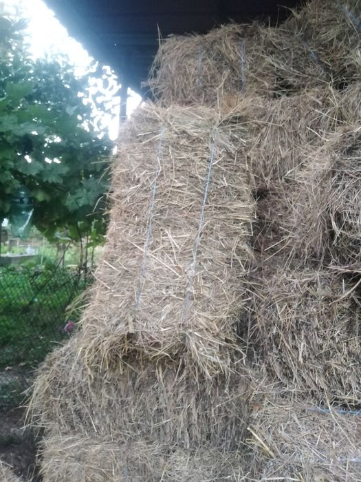 Продавам бали сено, бали слама и бали люцерна