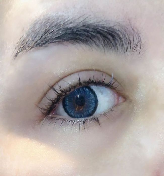 Цветни лещи едногодишни