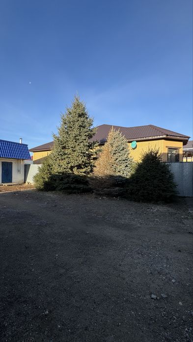 Продам Ёлку от 200.000тг