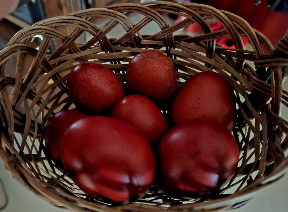 Ouă de incubat Marans negru arămiu super genetică