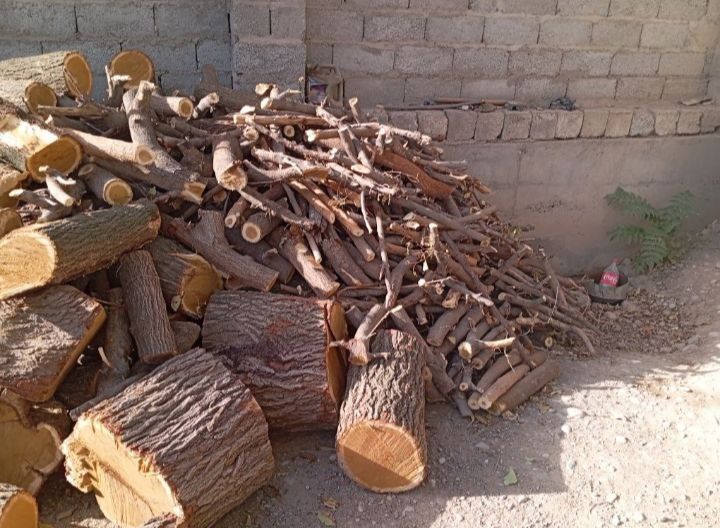 It uslubidagi porno pozitsiyasi