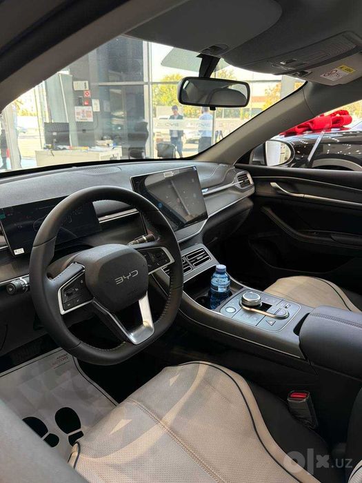 BYD Chazor Champion	55km Active успейте купить со скидкой
