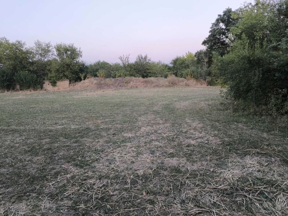 Продава се Парцел в с. Якимово, Област Монтана - 3100 кв.м за 2 €/кв.м - Снимка #6