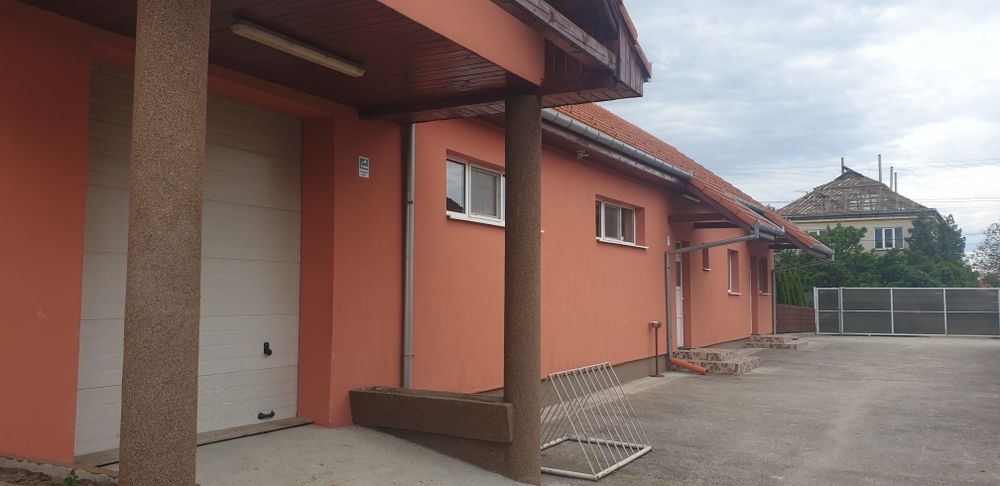 Hala/depozit de închiriat în Viile Satu Mare