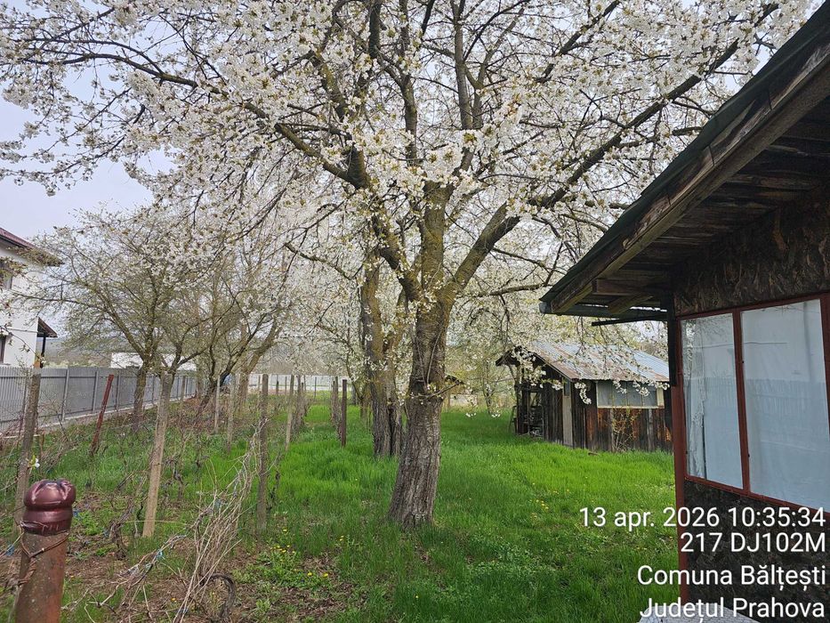 Casa si teren de vanzare com Baltesti