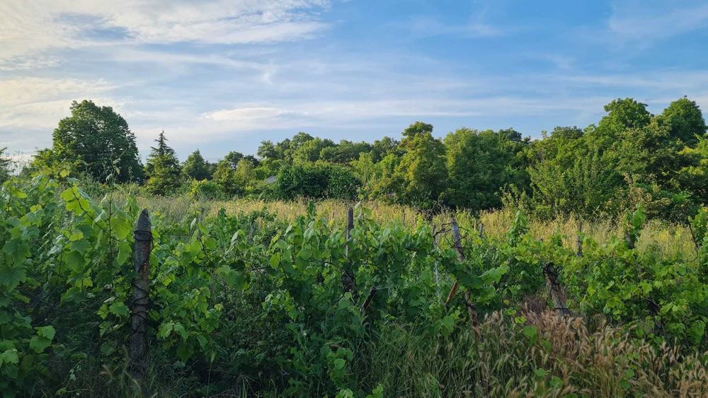 Продава се Парцел в Димитровград - 767 кв.м за 23 €/кв.м - Снимка #2