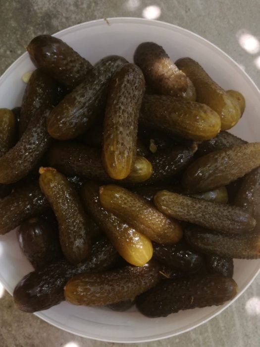 Castraveti murati de vanzare.