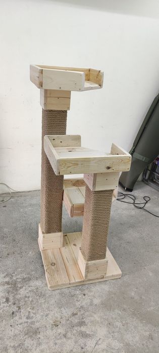 Котешка катерушка дърво