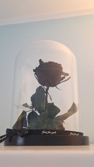 Ръчно направена вечна черна роза под стъклен похлупак