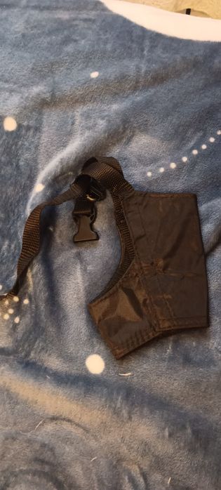 Игрушки для собак